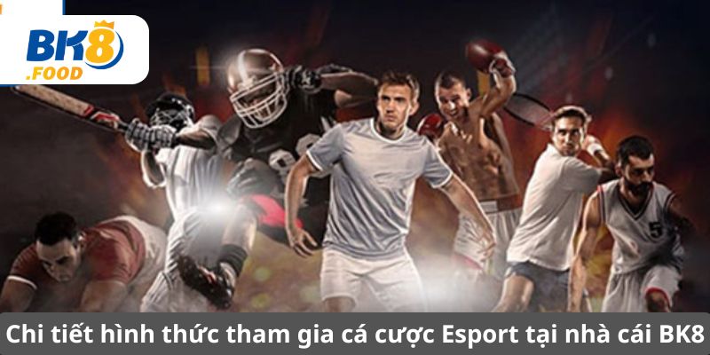 Chi tiết hình thức tham gia cá cược Esport tại nhà cái BK8