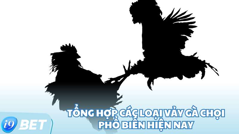 Tổng hợp các loại vảy gà chọi phổ biến hiện nay