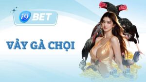 Vảy gà chọi - Chìa khóa đến sức mạnh của chiến kê